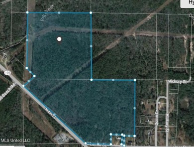 (private lake, pond, creek) Acreage For Sale in Lucedale Mississippi