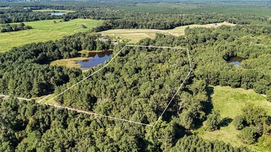 (private lake, pond, coastal) Acreage For Sale in Kinards South Carolina