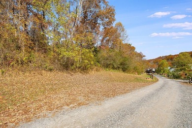 Enjoy the quiet beauty of Western North Carolina from this - photo 15