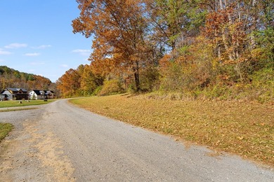Enjoy the quiet beauty of Western North Carolina from this - photo 16