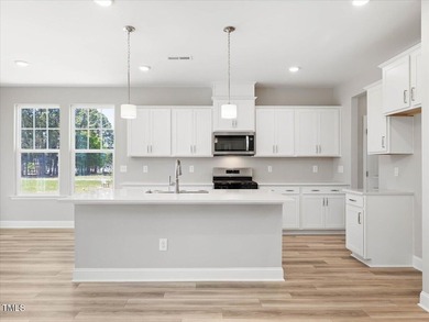 STUNNING 3 CAR GARAGE CUL DE SAC HOME w/PRIMARY ON MAIN LEVEL - photo 34