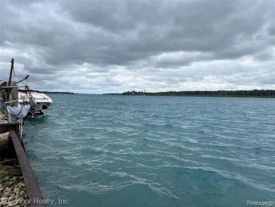 Lake Lot Sale Pending in Marysville, Michigan