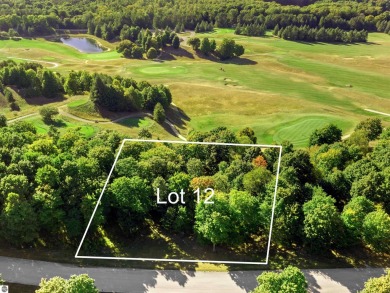 (private lake, pond, creek) Lot For Sale in Beulah Michigan