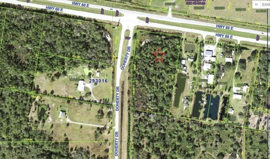 Lake Weohyakapka Acreage For Sale in Lake Wales Florida