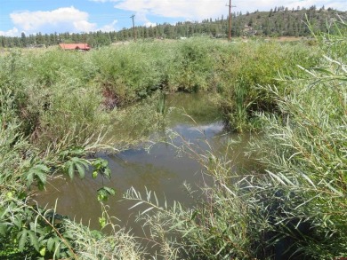 (private lake, pond, creek) Lot For Sale in Pagosa Springs Colorado