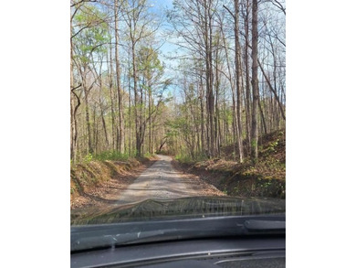 Public Remarks: This unique 1.15 acre property offers - photo 15