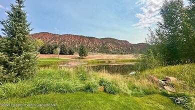 Nestled within the Colorado Roaring Fork Valley, sits a home in - photo 59