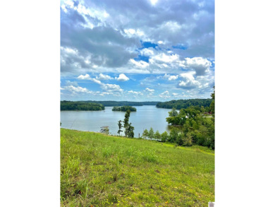  Acreage For Sale in Eddyville Kentucky