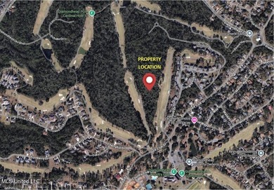 16.4 Acre prime development site available. Zoned R-3 (High - photo 2