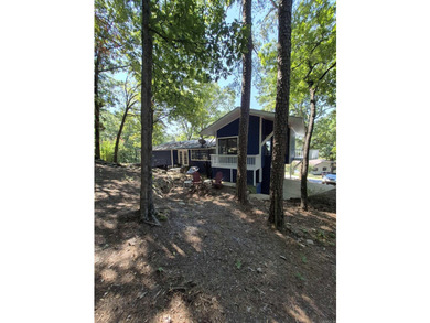 Lovely remodeled home. Seller will finance credit worthy buyer - photo 4