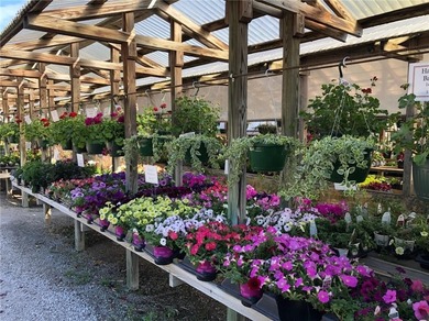 (private lake, pond, creek) Commercial For Sale in Eureka Springs Arkansas