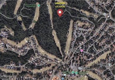 12.46 Acre prime development site available. Zoned R-2 (Medium - photo 2