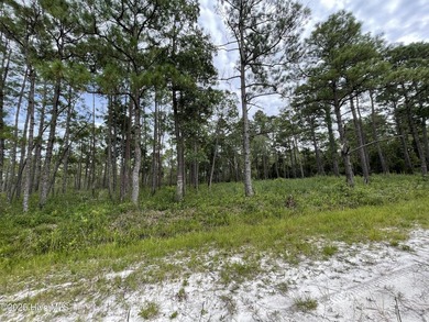 Don't miss this spacious .75-acre homesite located in the - photo 3