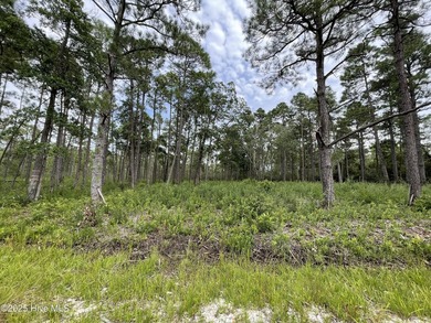 Don't miss this spacious .75-acre homesite located in the - photo 4