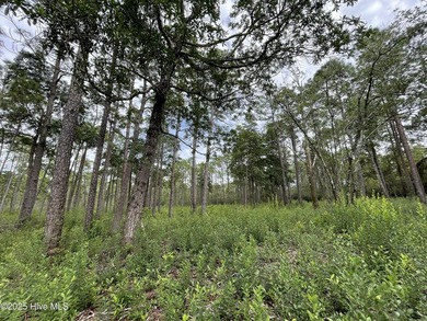 Don't miss this spacious .75-acre homesite located in the - photo 8