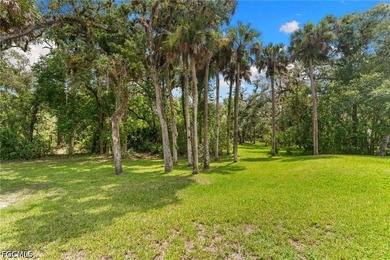 This home is in a BEAUTIFUL SETTING. It's tucked back into a - photo 7
