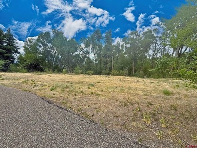 South Fork Rio Grande River Lot For Sale in South Fork Colorado