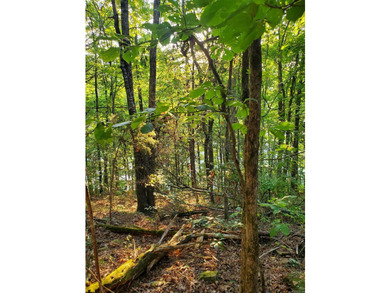 Additional listing photo 2