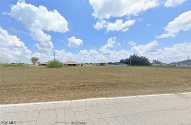 Live the Cape Coral Dream. Imagine waking up in a home designed - photo 1