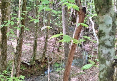 Public Remarks: Discover the possibilities with this beautiful 5 - photo 11