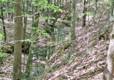 Public Remarks: Discover the possibilities with this beautiful 5 - photo 13