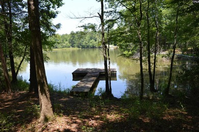 Wooded lakefront lot on Cedar Creek lake just south of Great - photo 3