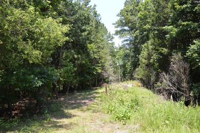 Wooded lakefront lot on Cedar Creek lake just south of Great - photo 5