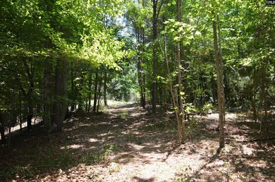 Wooded lakefront lot on Cedar Creek lake just south of Great - photo 6