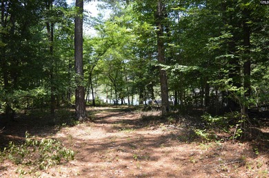 Wooded lakefront lot on Cedar Creek lake just south of Great - photo 7