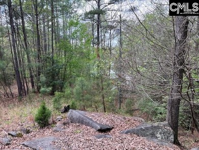 Wooded lakefront lot on Cedar Creek lake just south of Great - photo 8
