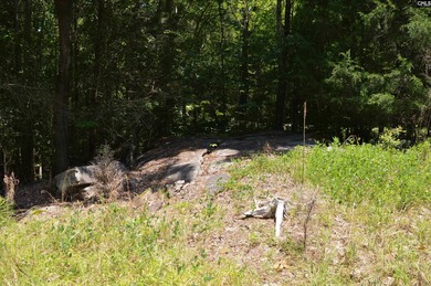 Wooded lakefront lot on Cedar Creek lake just south of Great - photo 9