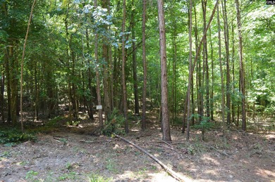 Wooded lakefront lot on Cedar Creek lake just south of Great - photo 10