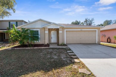 Lake Home For Sale in Odessa, Florida