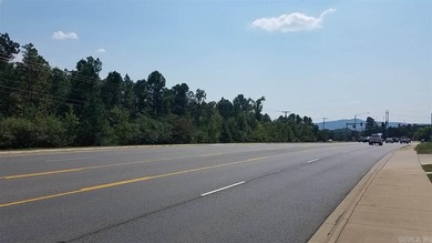 Lake Hamilton Commercial For Sale in Hot Springs Arkansas