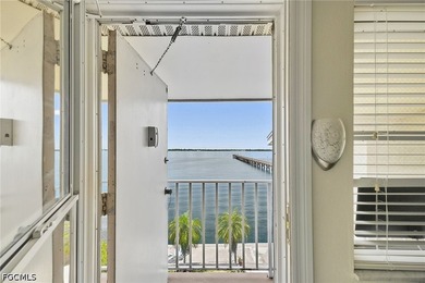 Third floor unit directly on the Caloosahatchee River with broad - photo 8