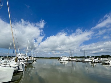 45' slip with 15% overhang allowance at Bohicket Marina. Slip - photo 6