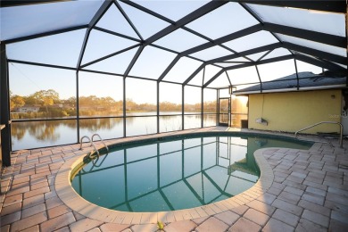 Lake Home For Sale in St. Petersburg, Florida