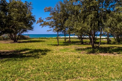 Fly in by private jet across the street and build your dream - photo 3