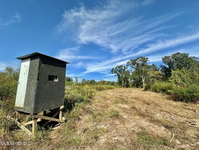 Tuscola Flats is a +/- 309 acre bottomland hunting tract located - photo 3