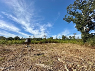Tuscola Flats is a +/- 309 acre bottomland hunting tract located - photo 4