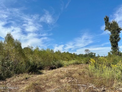 Tuscola Flats is a +/- 309 acre bottomland hunting tract located - photo 6