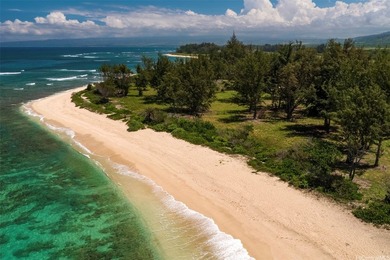 Fly in by private jet across the street and build your dream - photo 7