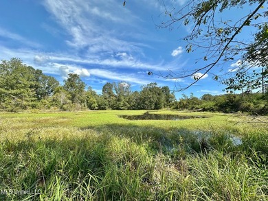 Tuscola Flats is a +/- 309 acre bottomland hunting tract located - photo 8