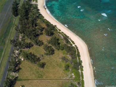 Fly in by private jet across the street and build your dream - photo 10
