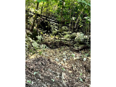 Buffalo River Acreage For Sale in Yellville Arkansas