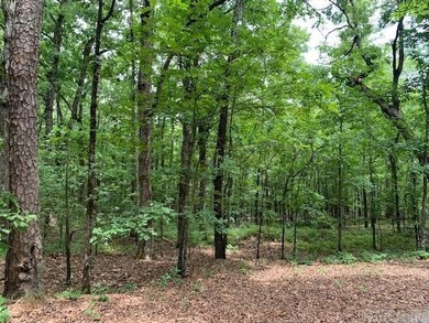 Greers Ferry Lake Lot For Sale in Heber Springs Arkansas