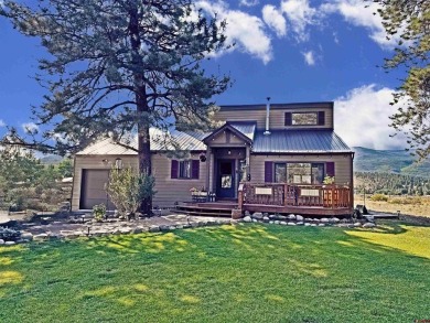 South Fork Rio Grande River Home For Sale in South Fork Colorado