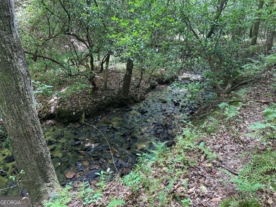 (private lake, pond, creek) Acreage For Sale in Mineral Bluff Georgia