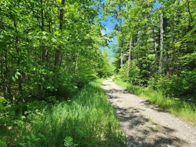 Lake Acreage For Sale in Mount Chase, Maine