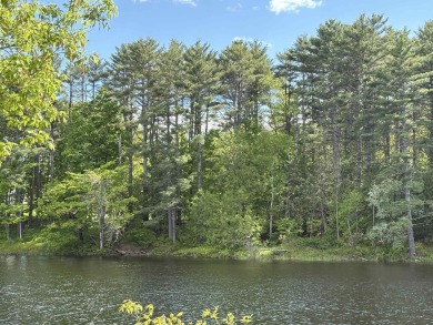 (private lake, pond, creek) Acreage For Sale in Dover-Foxcroft Maine